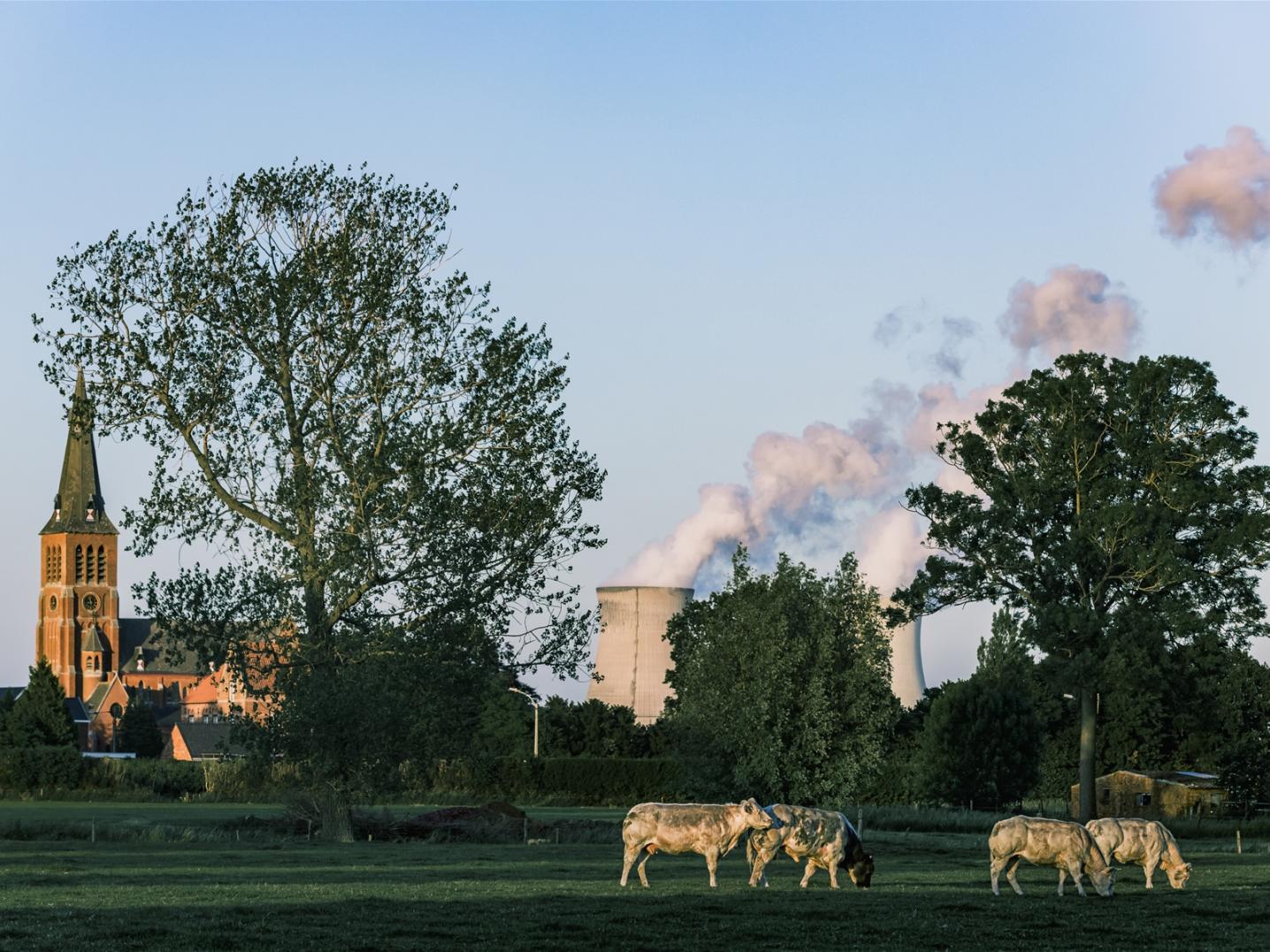 Prosperpolder, Zeeland, Foto: Sven Dullaert
