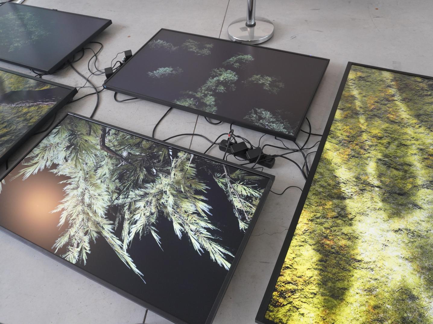 Screens that show the art