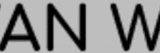 Header image for Froukje van Wengerden