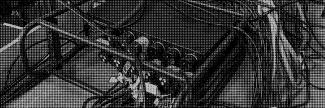 Header image for Özgür Kar