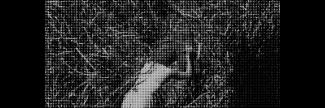 Header image for Ana Bravo Pérez