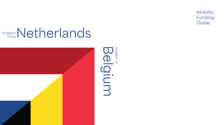 An original image of both the Netherlands and Belgium flags merged in the style of abstract art, resembling Mondrian